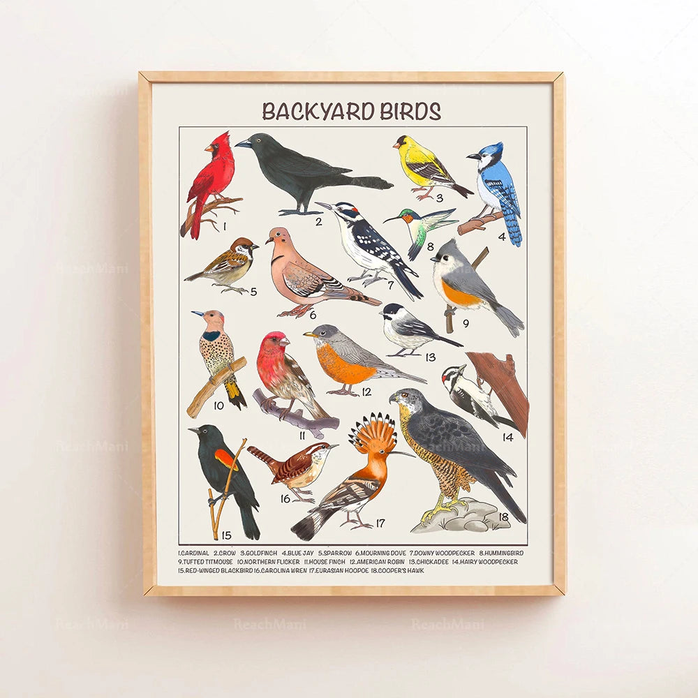 Safari Animals Educational Posters