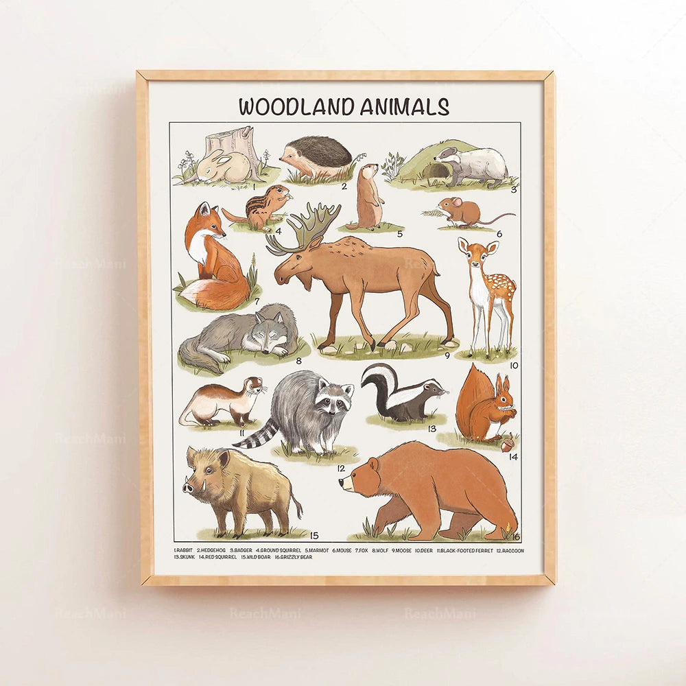 Safari Animals Educational Posters