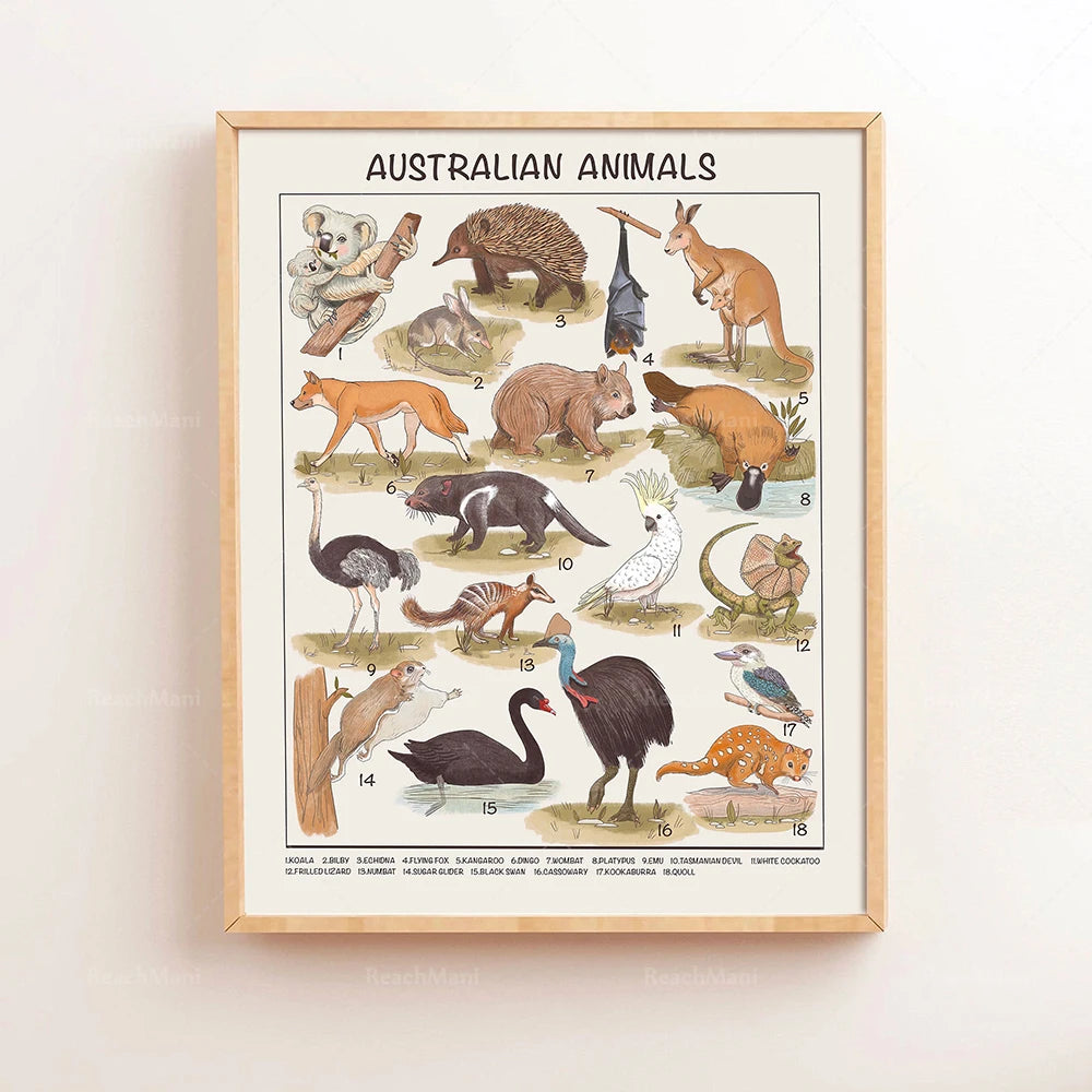 Safari Animals Educational Posters