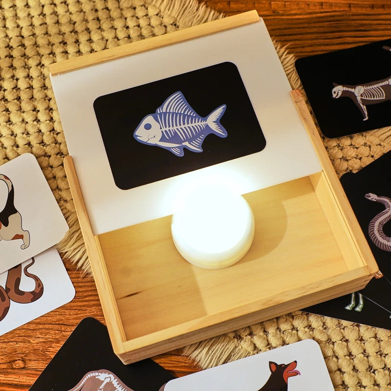 Wooden Kids Doctor Play Set