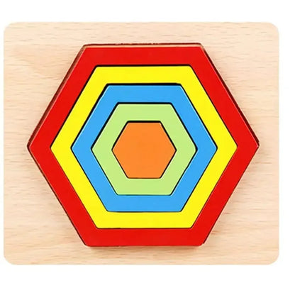 Montessori Shape Sorting Puzzle