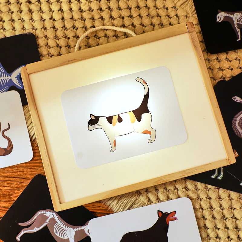 Wooden Kids Doctor Play Set