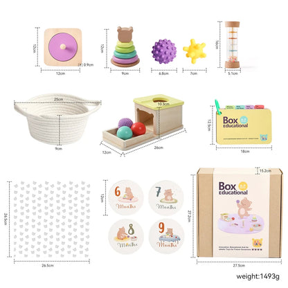 Montessori Multi-Purpose Puzzle & Baby Growth Milestone Set