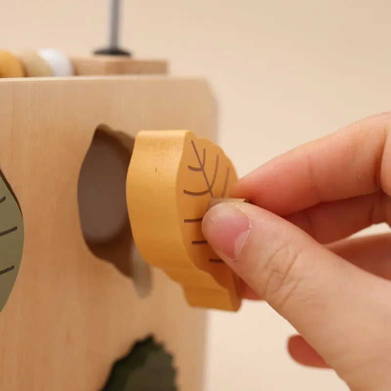 5-in-1 Wooden Activity Cube