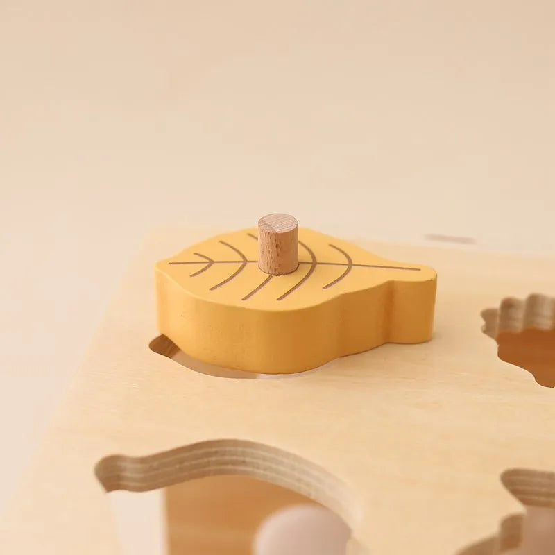 5-in-1 Wooden Activity Cube