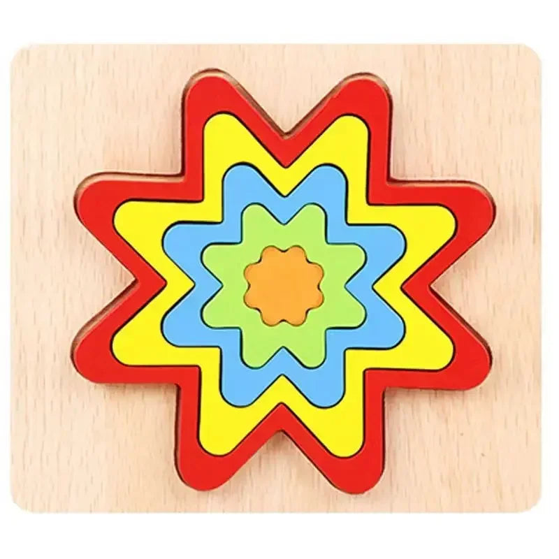 Montessori Shape Sorting Puzzle