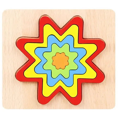 Montessori Shape Sorting Puzzle