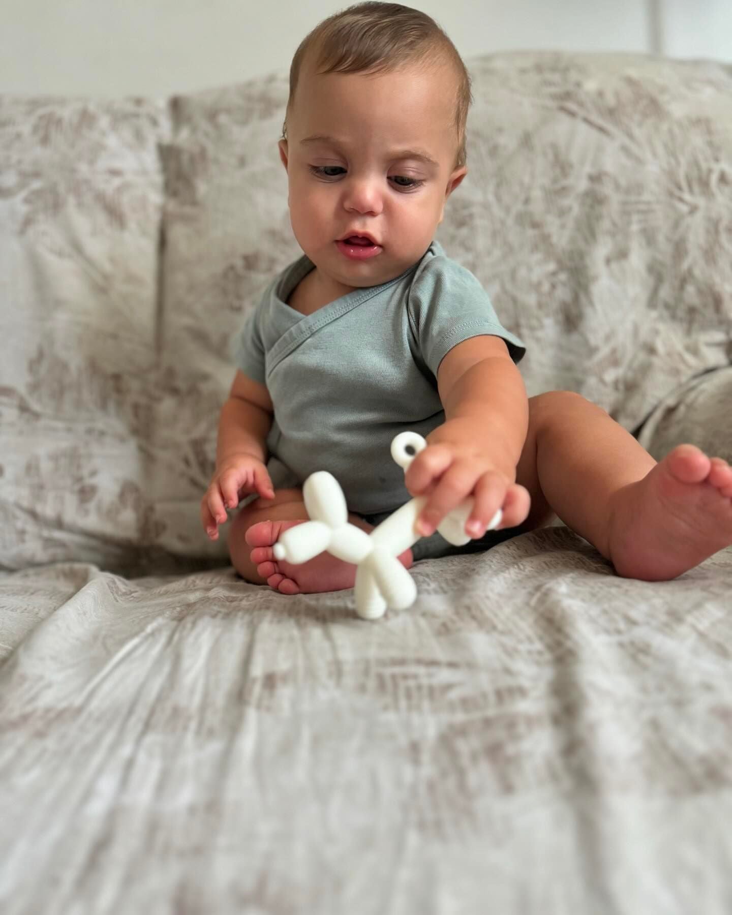 HEORSHE Puppy Teether – Soft Silicone Comfort for Teething (3+ Months)